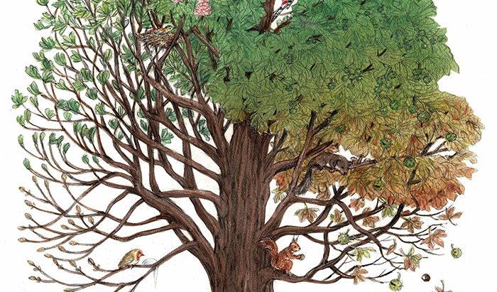 Illustria Ausstellung Bäume